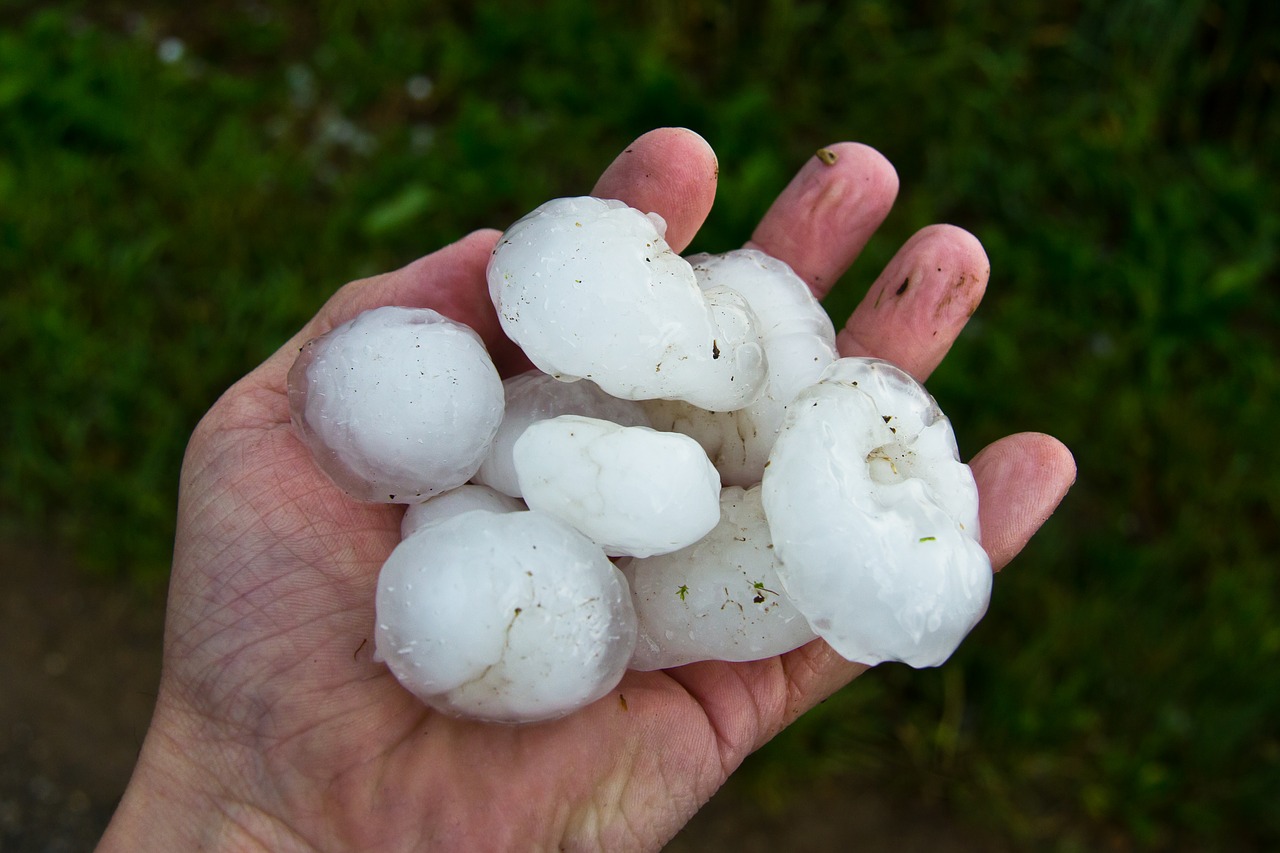 hand holding many large hail balls