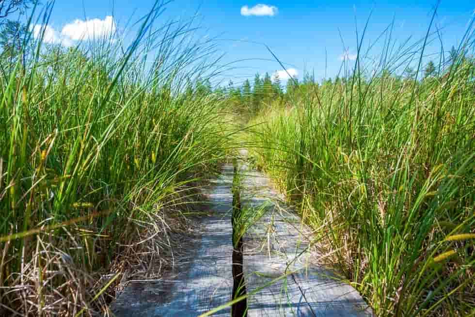 Vacant Land Insurance