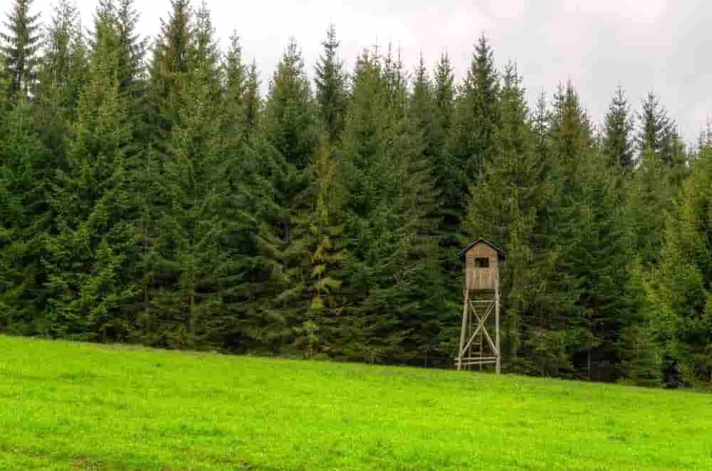 Vacant Land Insurance