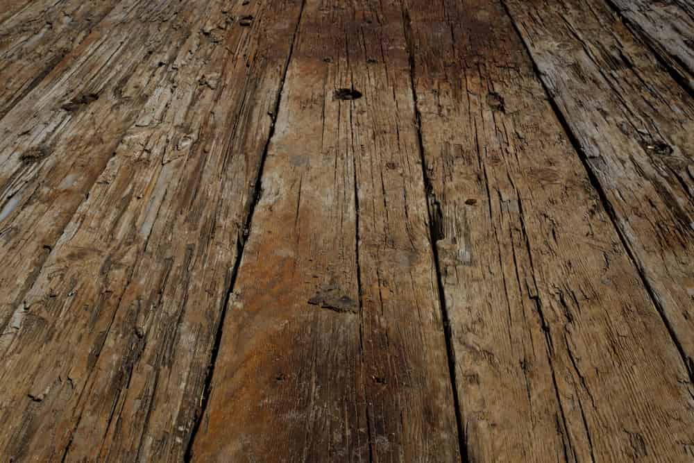 Does Homeowners Insurance Cover Mold