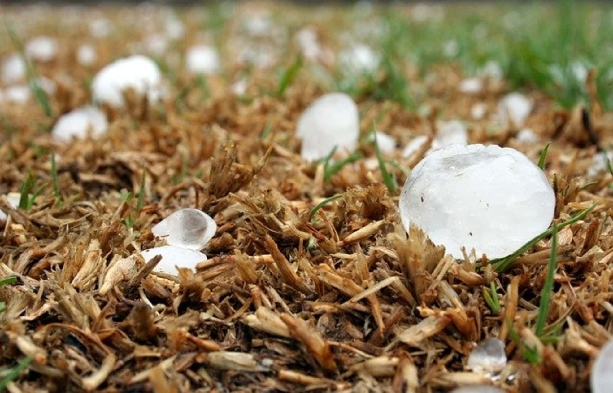 Dealing With The Insurance Adjuster On Hail Damage