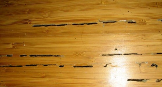 Signs of Termite Damage in Wood