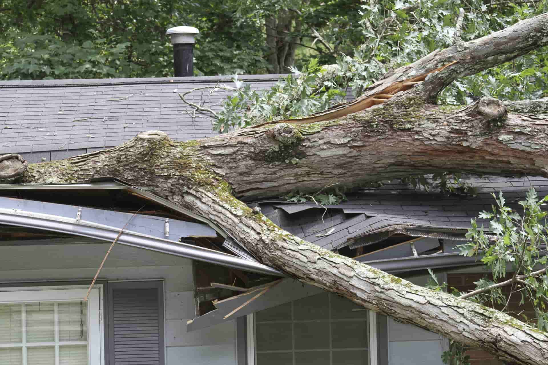 Is Wind Damage Covered by Homeowners Insurance?