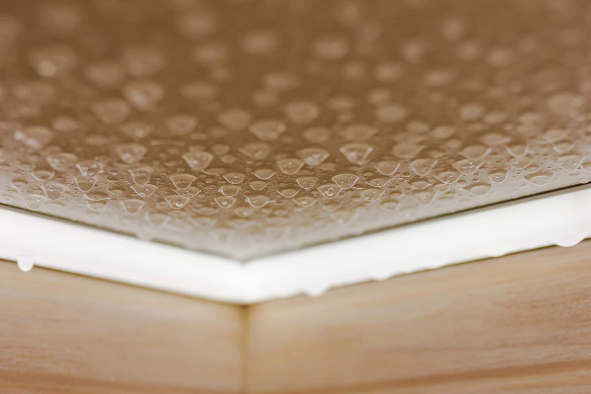 Water Damage in Ceilings Signs, Causes, Repair