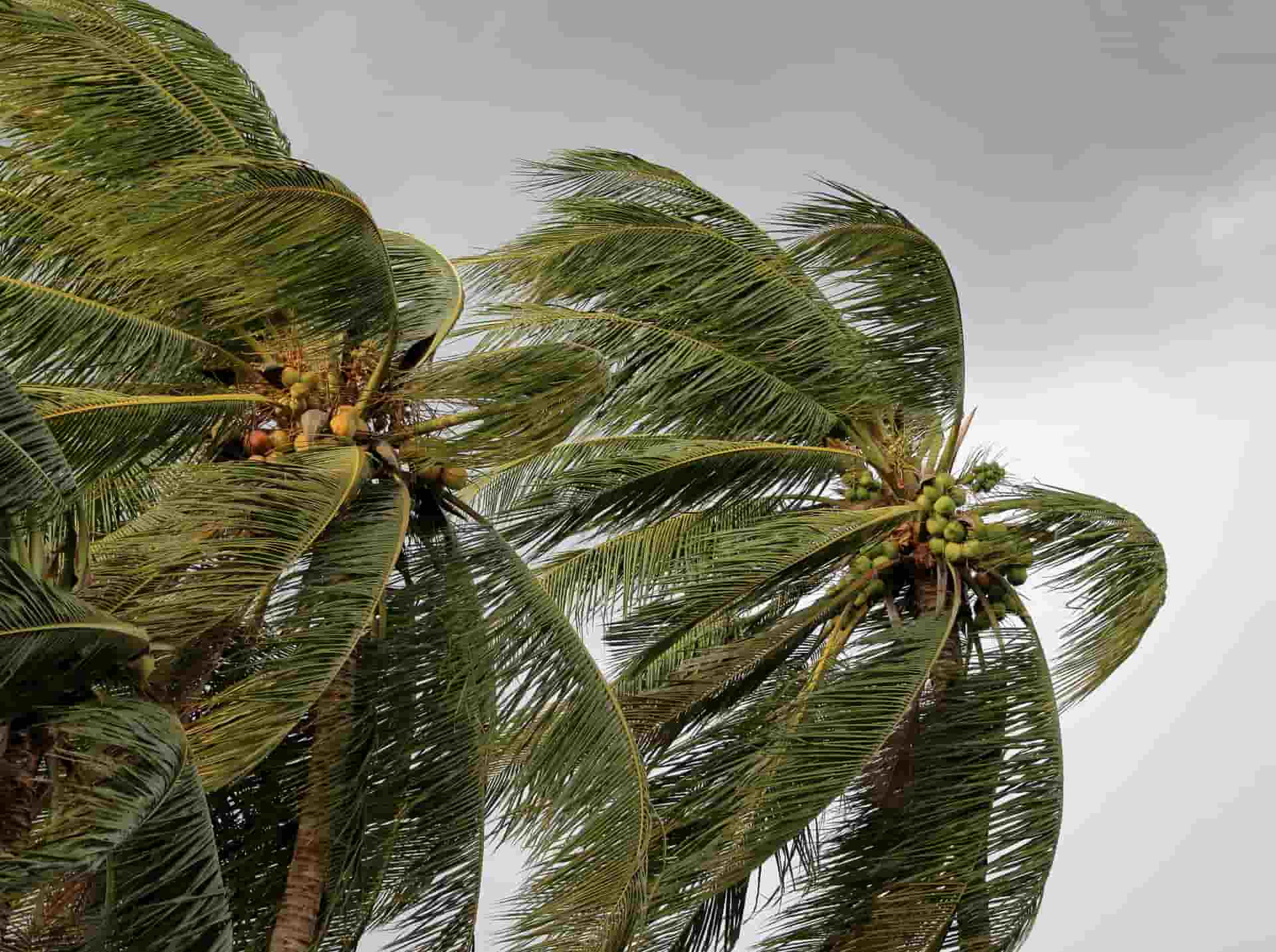 Hurricane Insurance Hawaii A Complete Guide Hurricane Insurance Hawaii A Complete Guide
